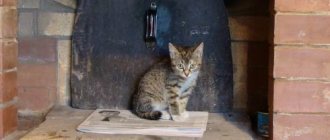 Смята се, че котките се чувстват лоши места и ги избягват. Изглежда одобряват тухлените фурни.